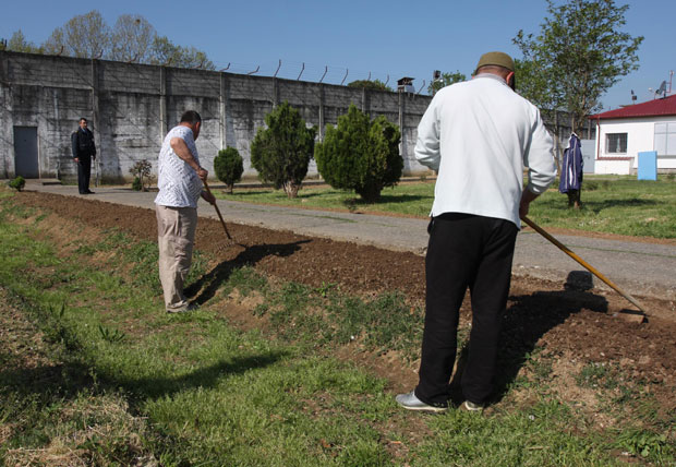 Црногорци казну служе и у школама